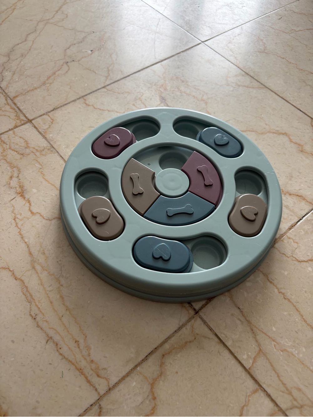 Interactive Pet Puzzle Toy - Green